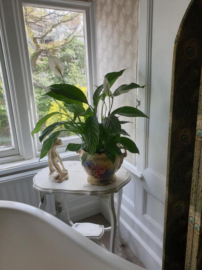 קארדיף Judy'S B&B Private Home מראה חיצוני תמונה